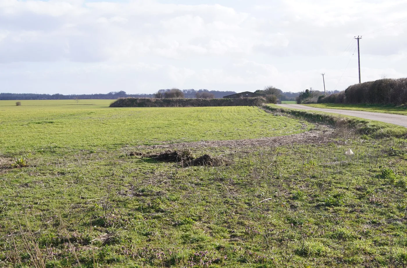 Farmland beside the access road to Battledown Farm, south-west of Basingstoke, in 2014. The council's masterplan for Manydown South places a heritage park around an Iron Age settlement 400m south-east of the farm